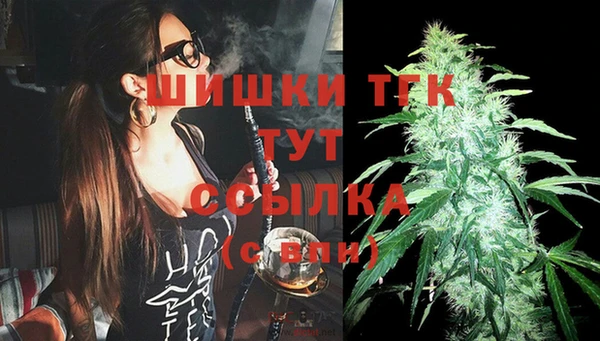 молекула духа Вуктыл