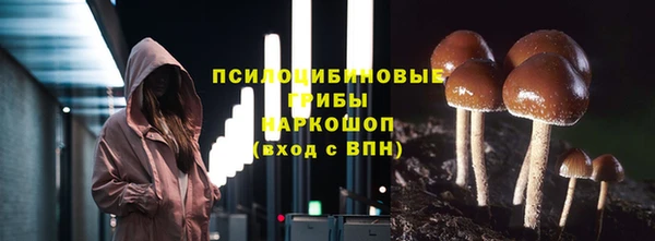 MDMA Елизово