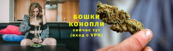 прущая мука Дмитриев