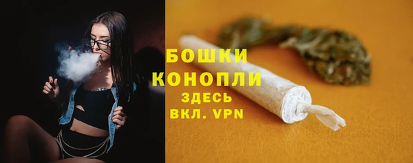 прущая мука Дмитриев