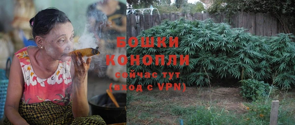 стаф Елабуга