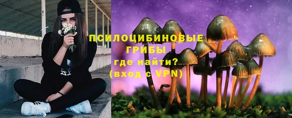 прущая мука Дмитровск