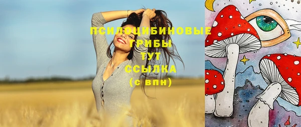 прущая мука Дмитровск