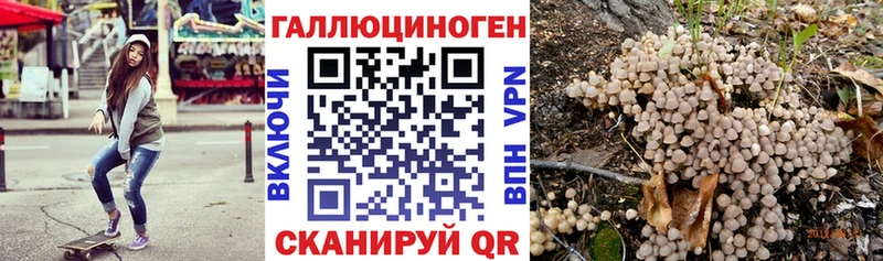где можно купить   Зубцов  МЕГА зеркало  Псилоцибиновые грибы GOLDEN TEACHER 
